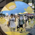 member face