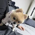 member face