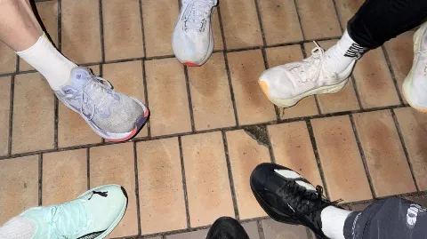 정모 대표 이미지