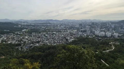 정모 대표 이미지