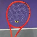 member face