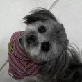 member face