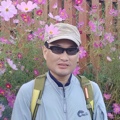 member face