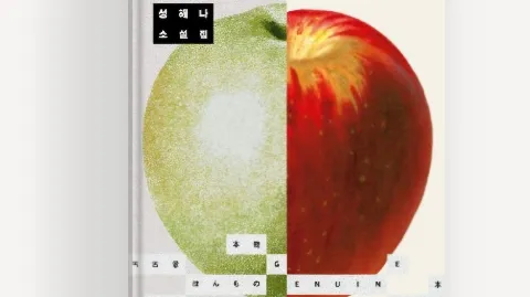 정모 대표 이미지