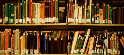 모임 대표 이미지