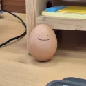 member face