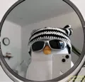 member face