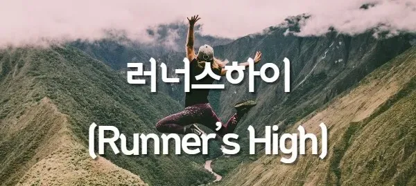 모임 대표 이미지