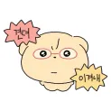 member face