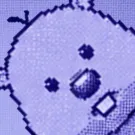 member face