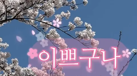 정모 대표 이미지