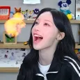 member face