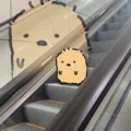 member face