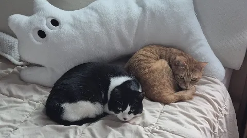 정모 대표 이미지