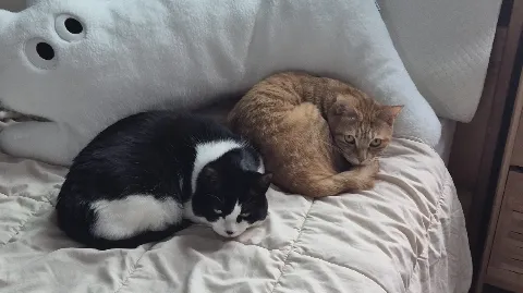 정모 대표 이미지