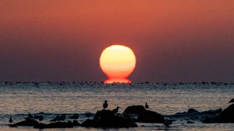 정모 대표 이미지