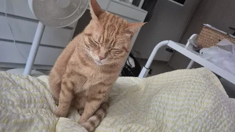 정모 대표 이미지