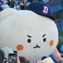 member face