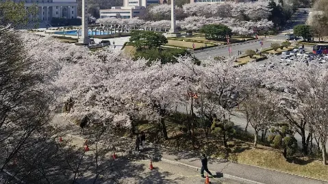 정모 대표 이미지
