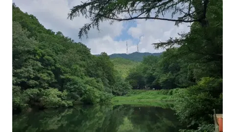 정모 대표 이미지