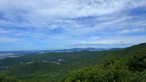 정모 대표 이미지