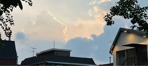 모임 대표 이미지