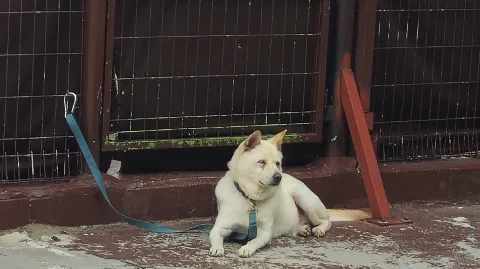 정모 대표 이미지