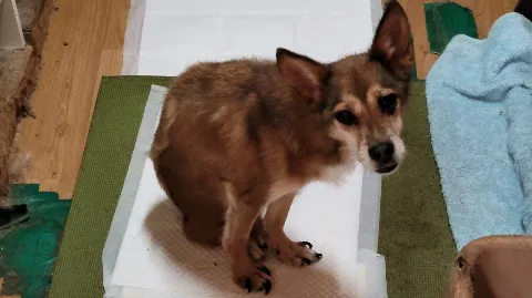 정모 대표 이미지