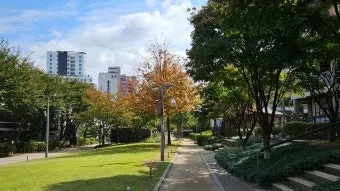 정모 대표 이미지