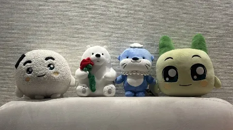 정모 대표 이미지