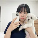 member face