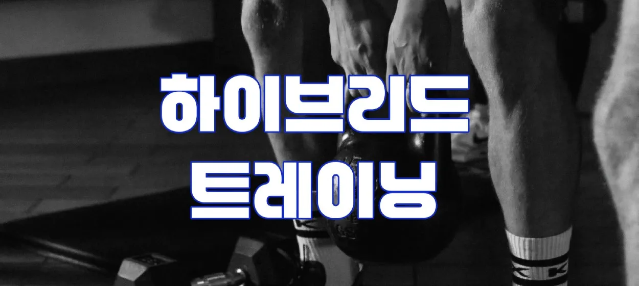 모임 이미지 1