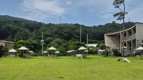 정모 대표 이미지