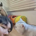 member face