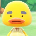 member face