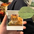 member face