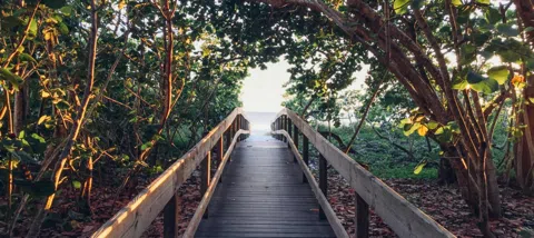 모임 대표 이미지