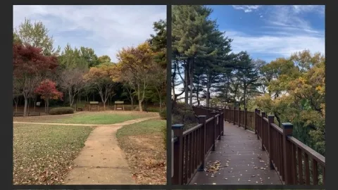 정모 대표 이미지