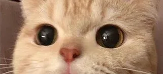모임 이미지 1