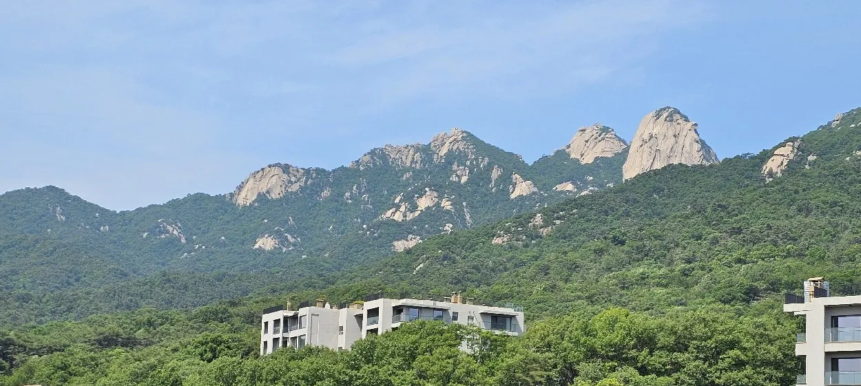 모임 이미지 1