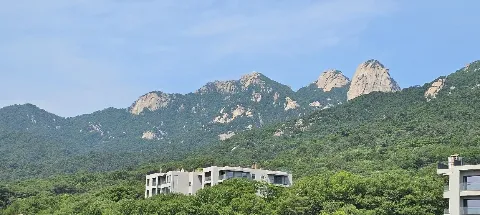 모임 대표 이미지