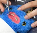 member face
