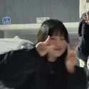 member face