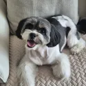 member face