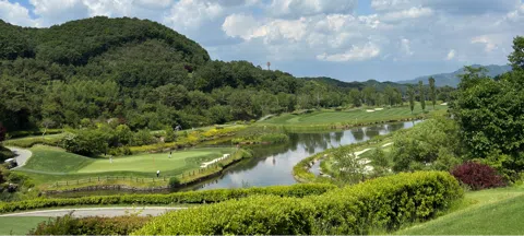 모임 대표 이미지