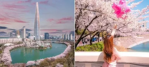 모임 대표 이미지