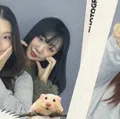 member face