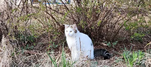 모임 대표 이미지