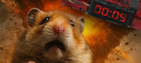 모임 대표 이미지