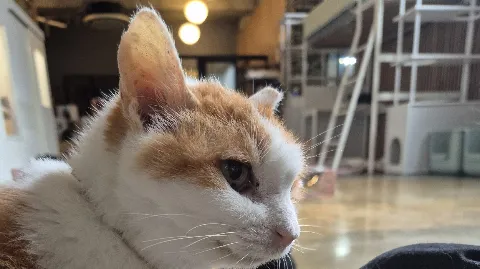 정모 대표 이미지
